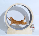 Cat Exercise Wheel – Modern Minimalist Fitness Wheel for Cats